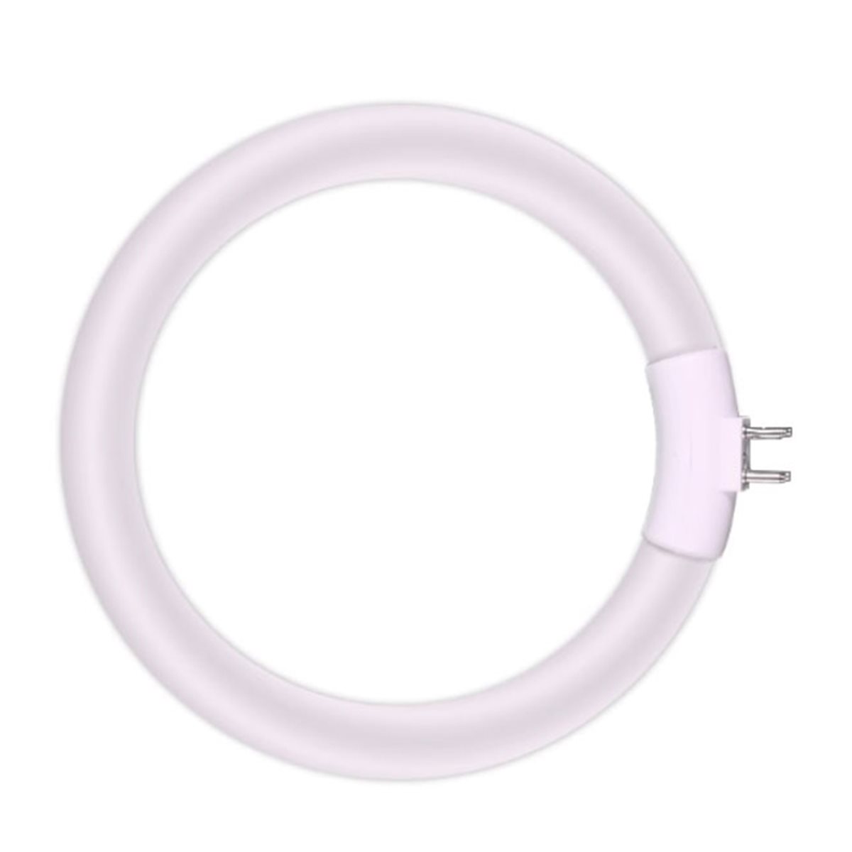 DT126 TO 12W Fluorescent Ring  - đánh giá và giá Ring Light Desk Small